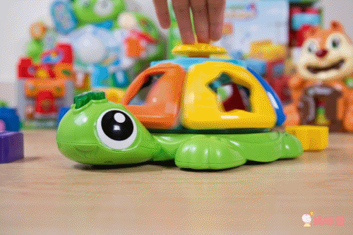 LeapFrog美國跳跳蛙 - 轉轉小海龜