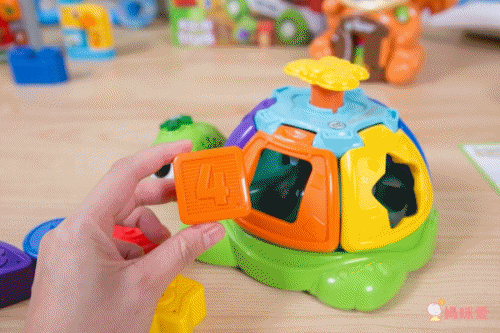 LeapFrog美國跳跳蛙 - 轉轉小海龜