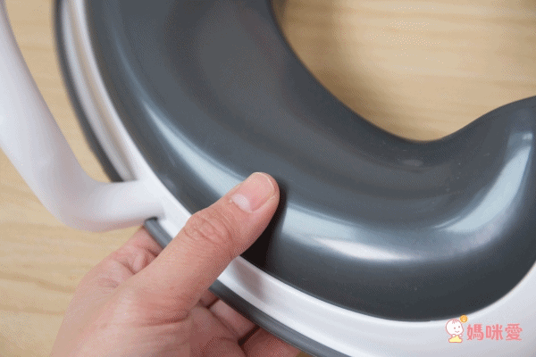 美國 PRINCE LIONHEART