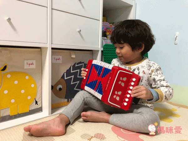 荷蘭 New Classic Toys - 幼兒手風琴玩具-活力紅