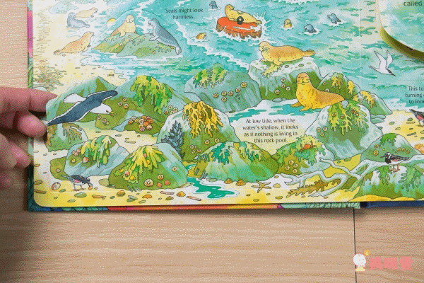 最佳兒童知識書籍♛泰晤士報讚譽【 I Wonder Why兒童百科大全套20冊】單本90元起！科學素養從小培養！