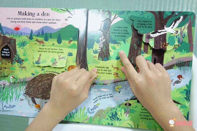 英國Miles Kelly、Usborne 看圖學英文 精美細緻畫風＋操作學英文