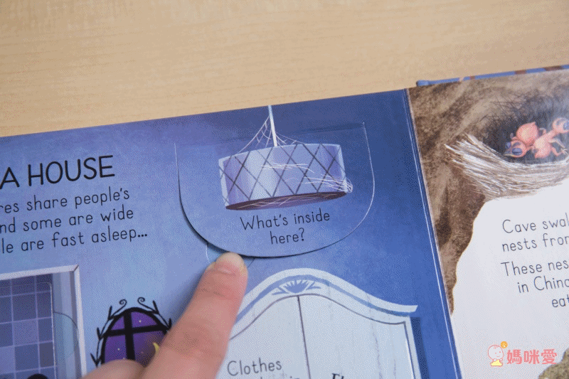 英國Miles Kelly、Usborne 看圖學英文 精美細緻畫風＋操作學英文