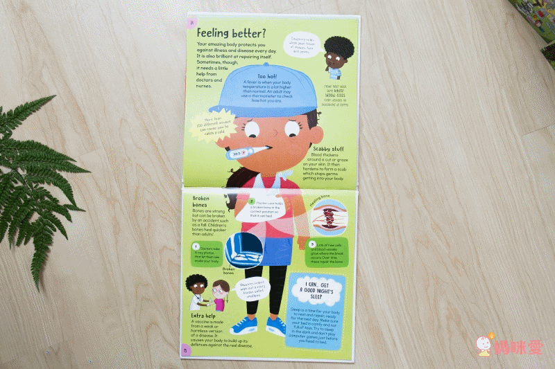 英國Miles Kelly、Usborne 看圖學英文 精美細緻畫風＋操作學英文