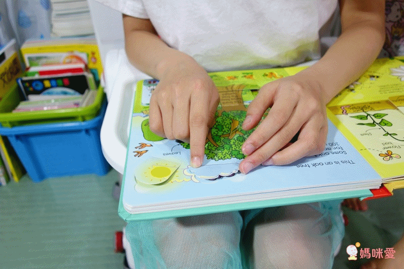 英國Miles Kelly、Usborne 看圖學英文 精美細緻畫風＋操作學英文