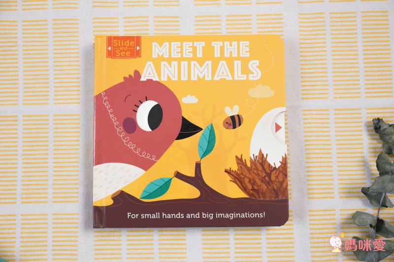 讓孩子的小手動起來！【體操／音效／翻翻書】吸睛英文操作書特輯