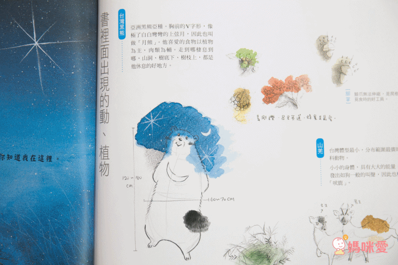 愛台灣繪本66折起♔【任選二件再88折】暢銷榜台灣地圖～極美插畫，根本大人收藏品！