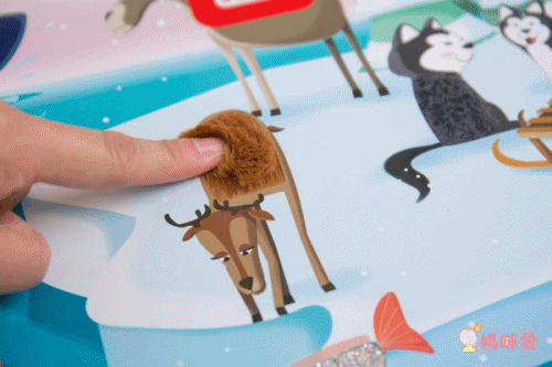 動手拼世界【法國 Janod 磁性世界拼圖】中英文版