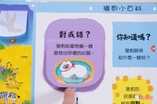 ★打造聰明好腦袋★益智翻翻小百科 / 童趣推拉轉操作書大集合!