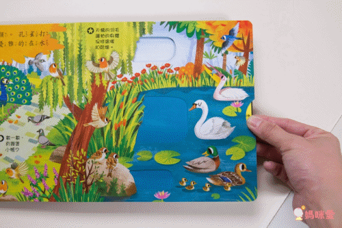 ★打造聰明好腦袋★益智翻翻小百科 / 童趣推拉轉操作書大集合!