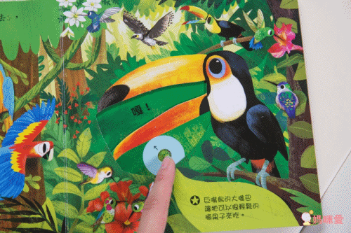 ★打造聰明好腦袋★益智翻翻小百科 / 童趣推拉轉操作書大集合!