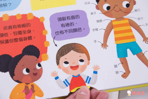 ★打造聰明好腦袋★益智翻翻小百科 / 童趣推拉轉操作書大集合!