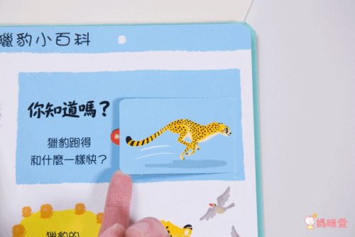 ★打造聰明好腦袋★益智翻翻小百科 / 童趣推拉轉操作書大集合!