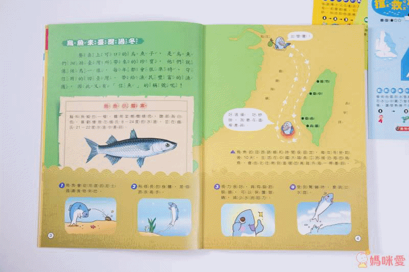 2021【康軒雜誌】跟團即送：【生活數學遊戲寶盒+新期刊】