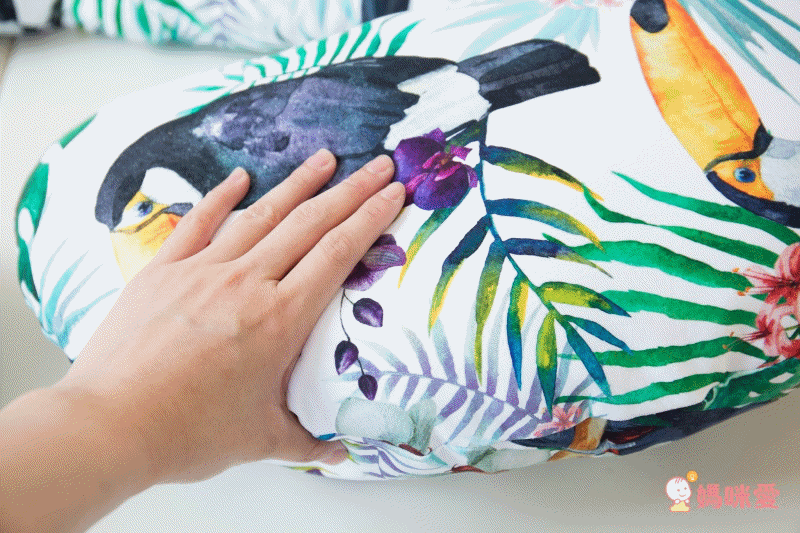 波蘭 Ceba Baby - C型多功能孕婦枕-淺灰星芒