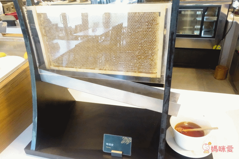 台東池上日暉國際渡假村｜頂級 Airstream 露營車