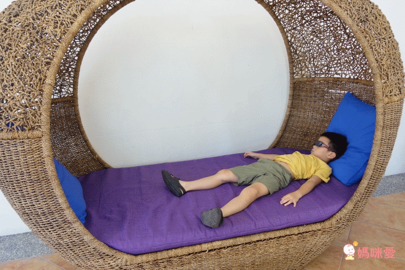 台東池上日暉國際渡假村｜頂級 Airstream 露營車