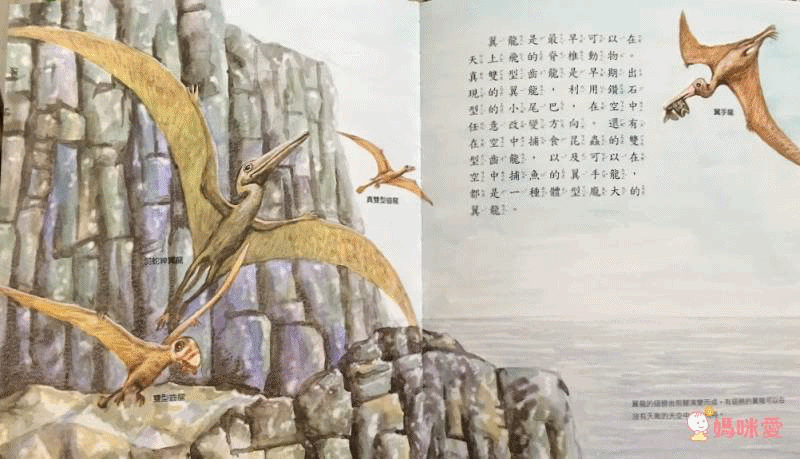 閣林全能科學王♚ 讓孩子擁有高人一等的科學基因☛ 3歲～小二孩子適讀，符合108課綱✔