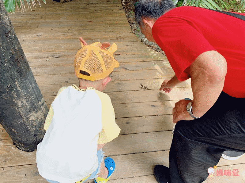 新竹國賓大飯店 ★ 木樂地親子沙坑遊戲室 讓孩子大放電