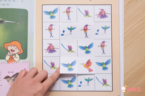 小牛頓科學教育有限公司 - PLAY&LEARN套書-平裝/附注音/貼紙+紙卡-全彩 (5-8歲)-全套二冊