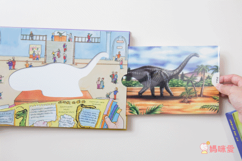 Alligator Books - A Magic Skeleton Book 6 Books