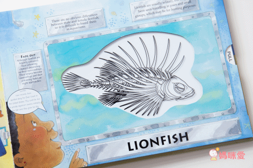 Alligator Books - A Magic Skeleton Book 6 Books