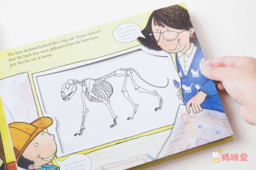 Alligator Books - A Magic Skeleton Book 6 Books