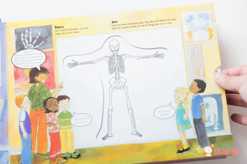 Alligator Books - A Magic Skeleton Book 6 Books