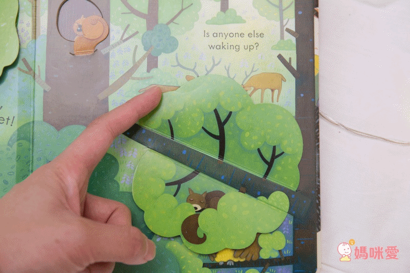 來自英國 最暢銷童書出版社【Usborne】知識遊戲書 ★ 展開超大「大圖大頁百科書」