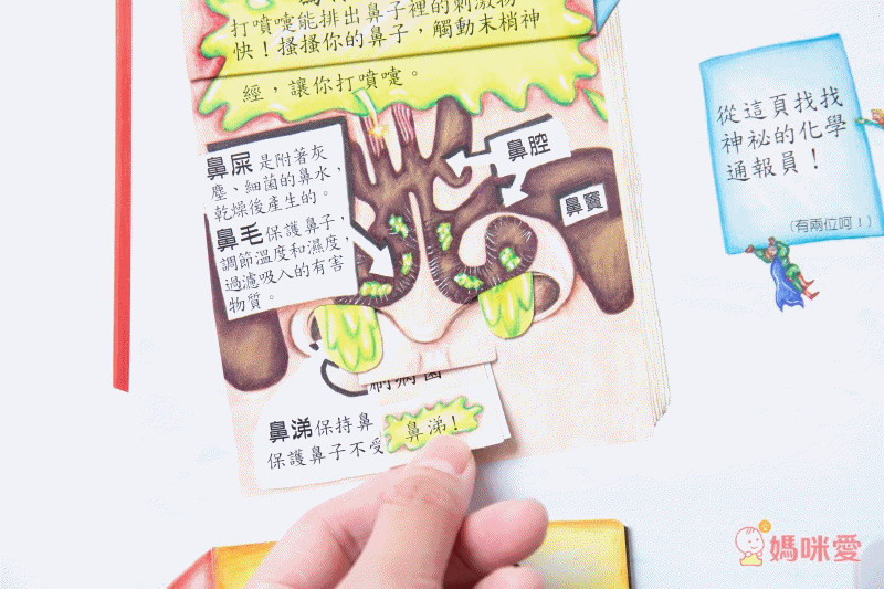 身體原來是這樣