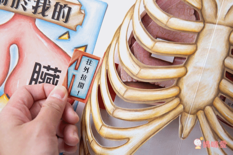 身體原來是這樣