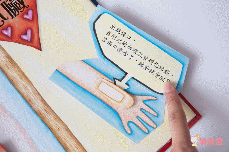 身體原來是這樣