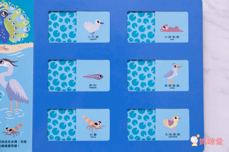 禾流文創 - 【高質感X超厚紙板滑滑書】3本組-猜一猜.我喜歡吃什麼?+猜一猜.我是誰的寶寶+猜一猜.我是什麼職業