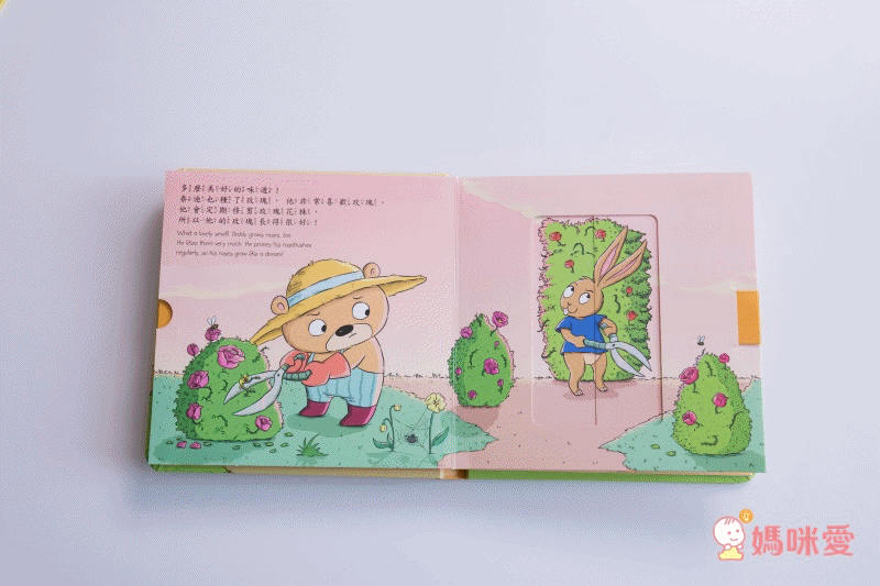 泰迪拉拉書-泰迪的花園