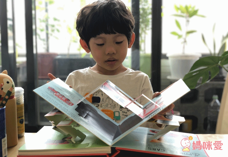 【歡鬧動物】小寶寶英文音效書！一起來聽聽動物們的聲音吧～