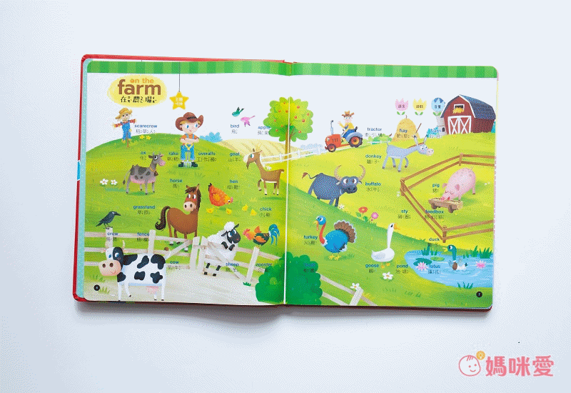 年末最後一檔！限時59折～有聲書、有聲掛圖熱銷TOP精選