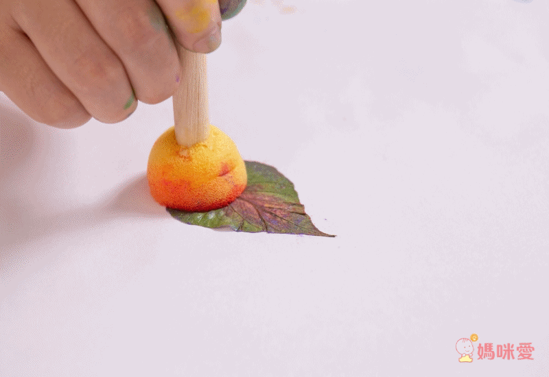 澳洲 Micador - 大畫家工具組-平/圓頭筆刷各1+不規則滾筒海綿刷*1+小圓泡沫刷*1+壓模平刷*1