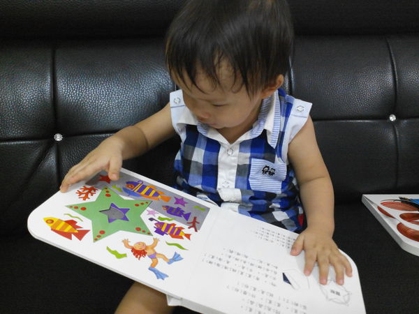 【上人文化】快樂學習洞洞書書