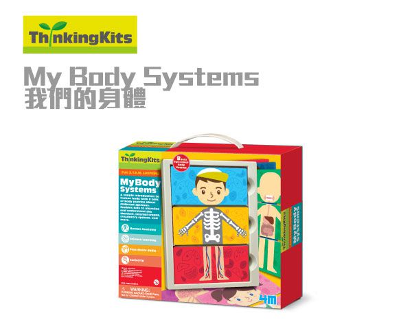 香港4M創意玩具 - 我們的身體 My Body Systems