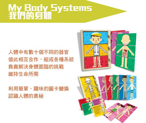 香港4M創意玩具 - 我們的身體 My Body Systems
