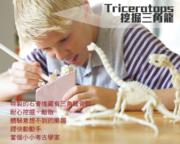 香港4M創意玩具 - 挖掘三角龍 Triceratops Skeleton