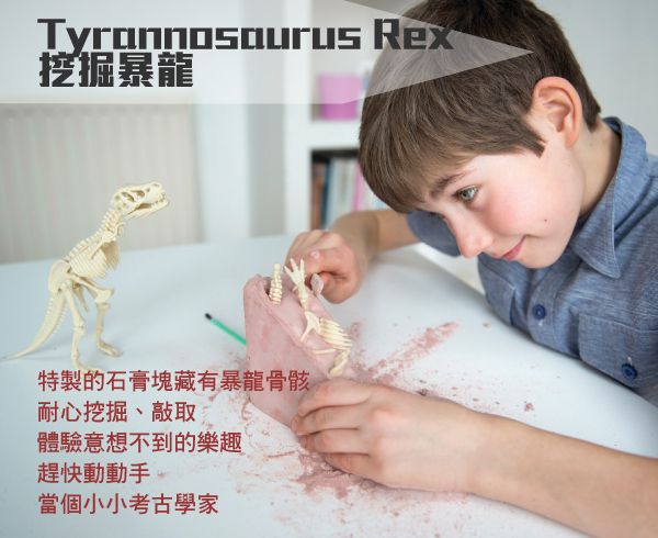 香港4M創意玩具 - 挖掘暴龍 Tyrannosaurus Rex Skeleton