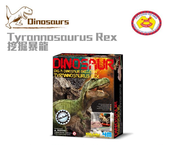 香港4M創意玩具 - 挖掘暴龍 Tyrannosaurus Rex Skeleton