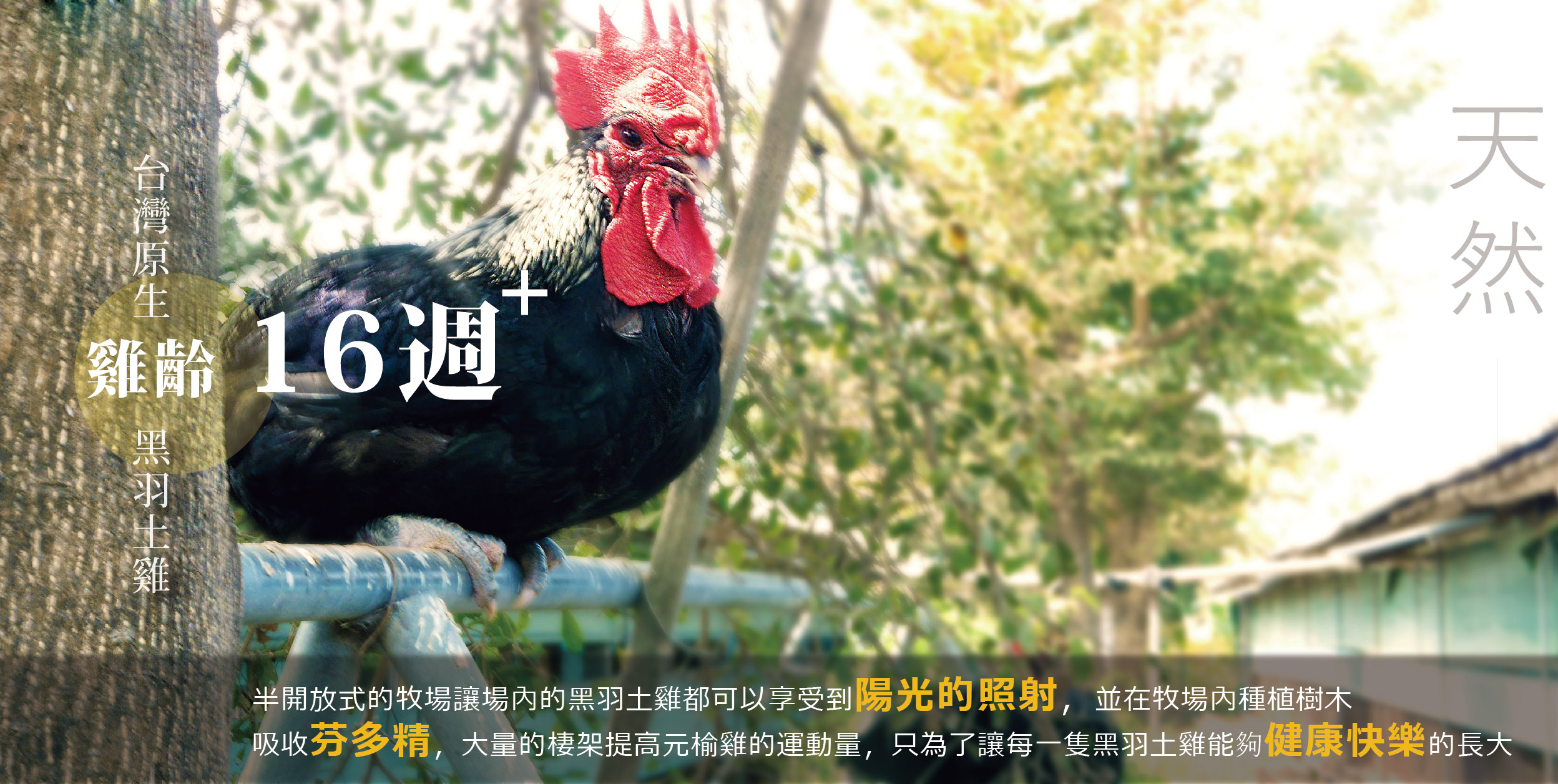 元榆牧場 - 醉雞腿 去骨 (300g±5%)