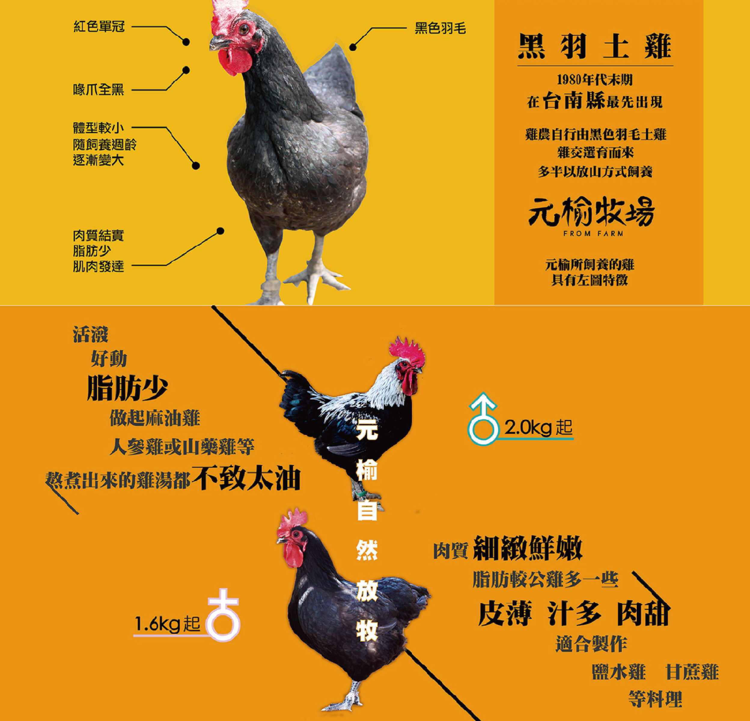 元榆牧場 - 母雞 大包裝 (750g)