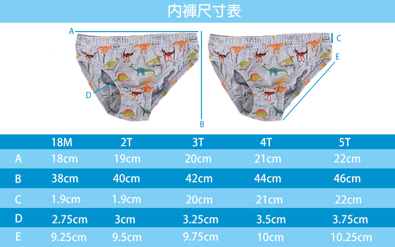 美國 Luvable Friends - 甜蜜寶貝幼兒/兒童棉質5入彈性內褲組-貝類世界