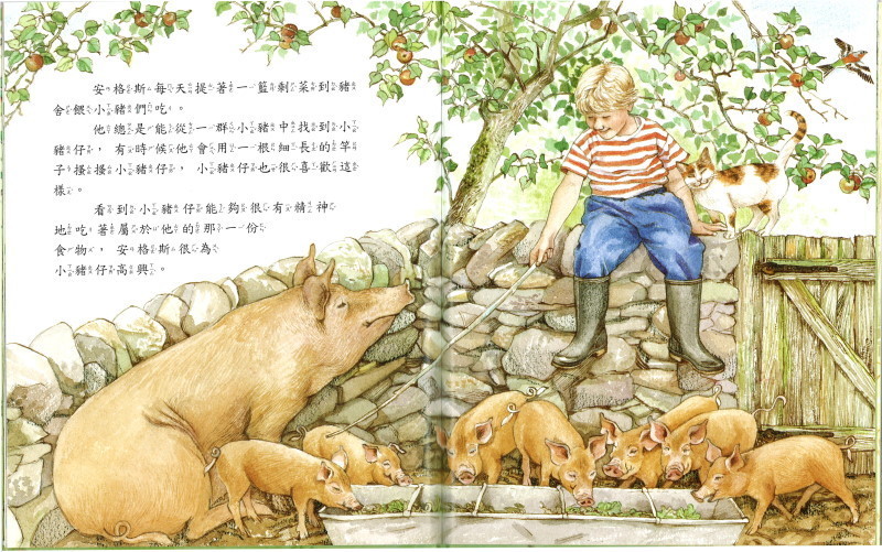 (加購)故事機導讀繪本-風境農場動物繪本-精裝6冊/盒裝