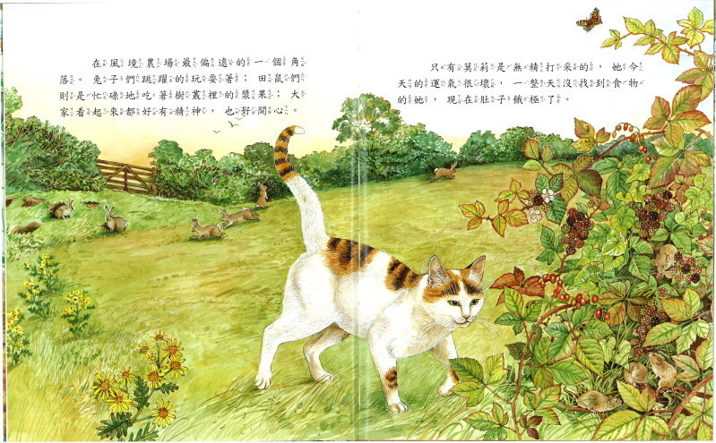 (加購)故事機導讀繪本-風境農場動物繪本-精裝6冊/盒裝