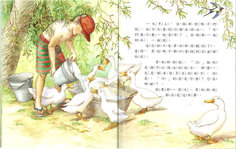 (加購)故事機導讀繪本-風境農場動物繪本-精裝6冊/盒裝