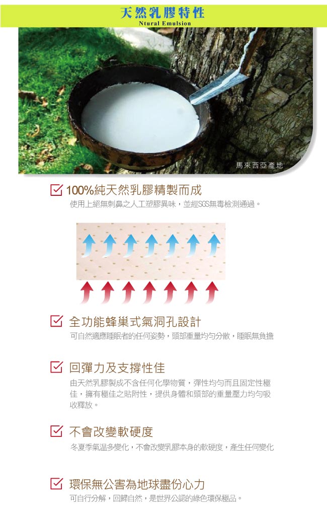 鴻宇 HongYew - 防螨抗菌100%美國棉兒童標準型天然乳膠枕-恐龍公園-1896-藍